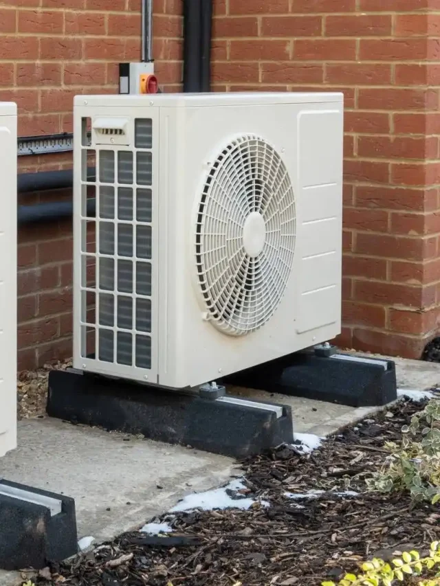Dual heat pumps