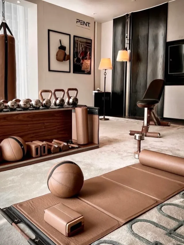 stylish home gym having all kinds of gym equipments